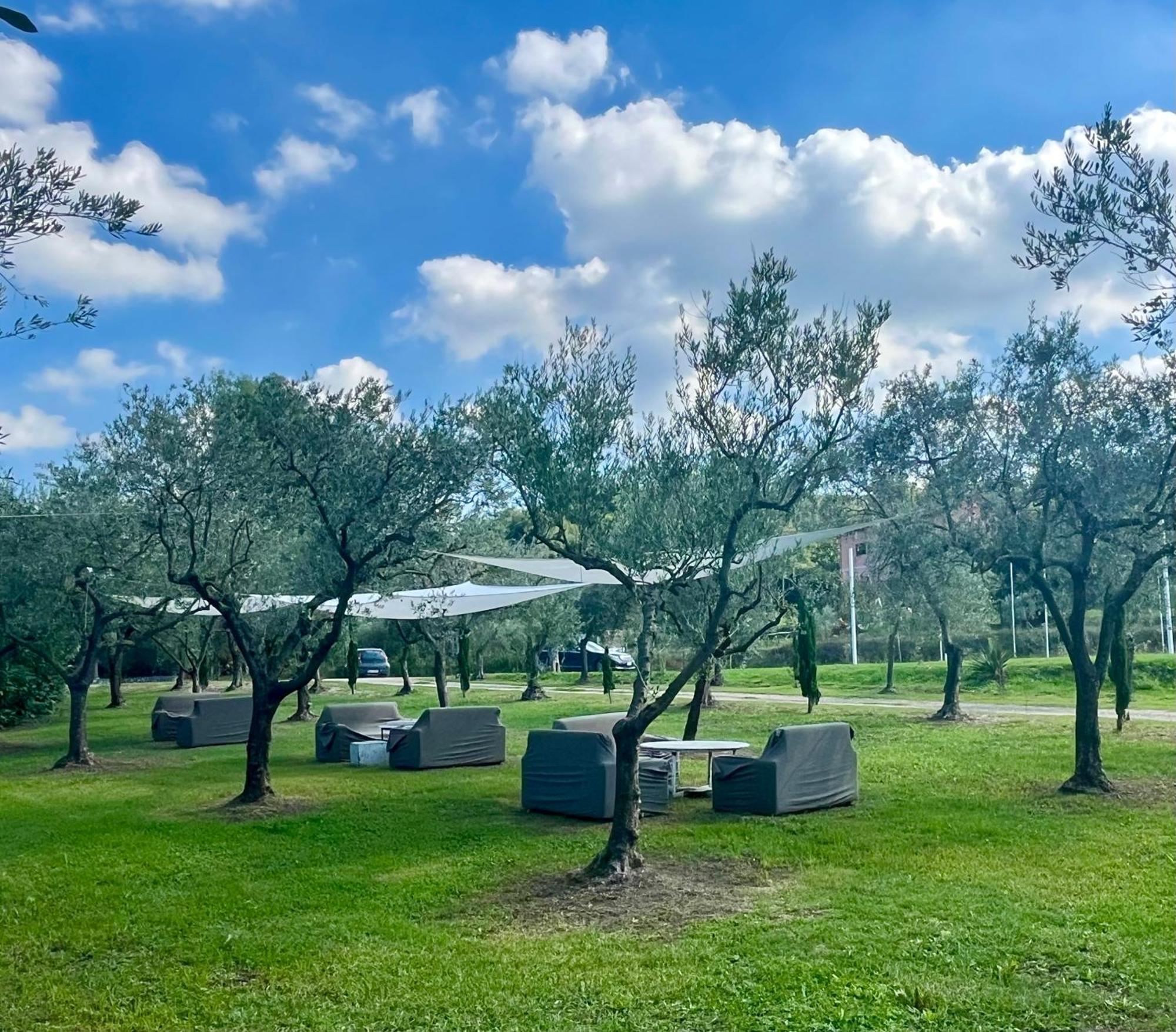 La Tenuta Del Barone SantʼAgata deʼ Goti Dış mekan fotoğraf